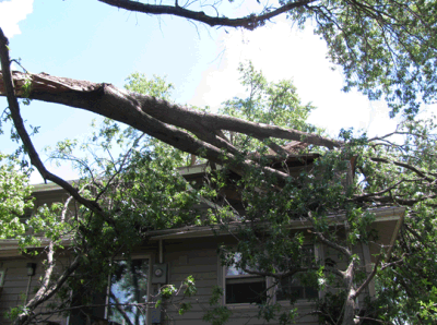 Storm damage, Columbia, MO, late evening, July 7, 2014.