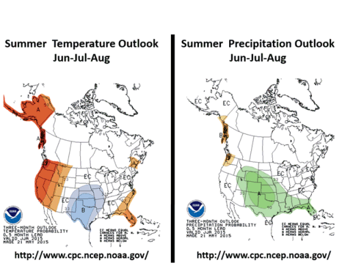 Summer Temperature and Precipitation Outlook (Jun-July-Aug)