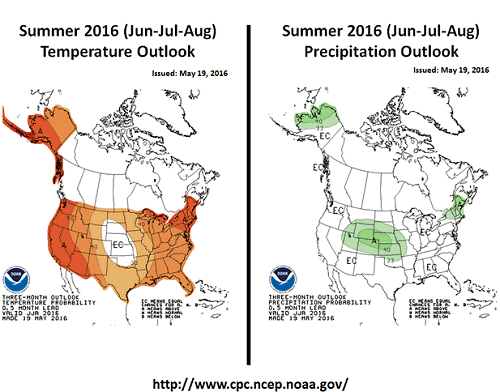 Summer 2016 (Jun-Jul-Aug) Temperature and Precipitation Outlook