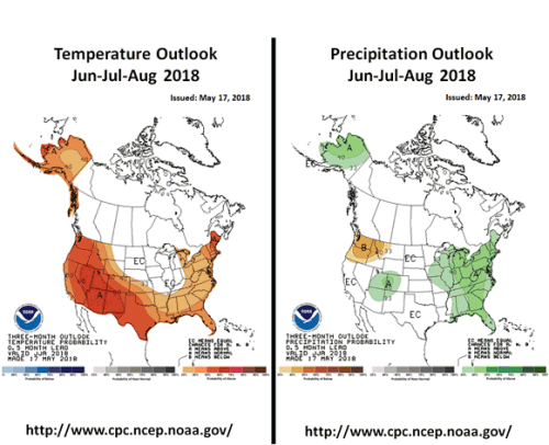 Temperature/Precipitation Outlook Jun-Jul-Aug 2018