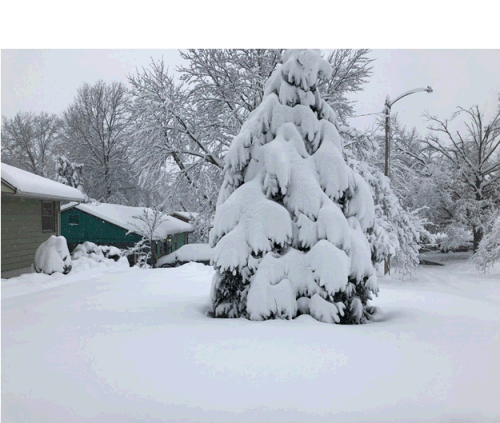 Columbia, MO Snowfall
