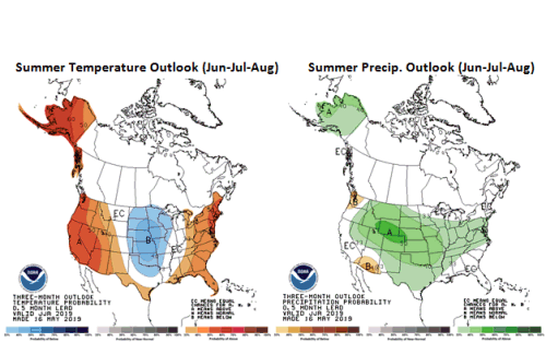 Summer Temp and Precip Outlooks