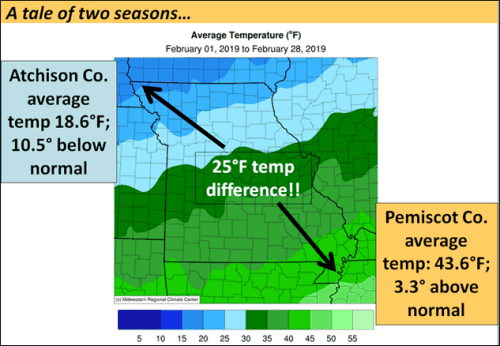 A Tale of Two Seasons