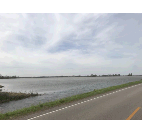 Mississippi County, MO Flooding