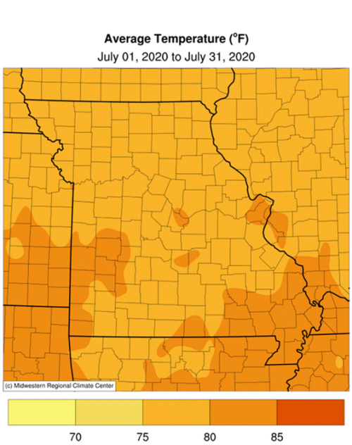 Average Temperature (°F): Jul 01, 2020 to Jul 31, 2020