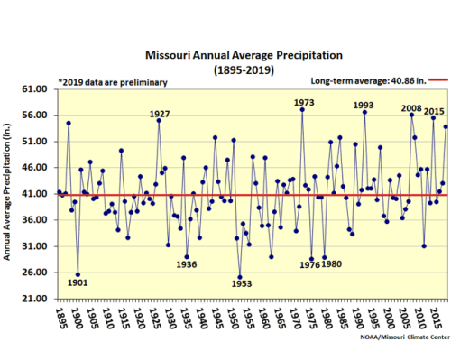 Missouri Annual Average Precipitation 1895 - 2019