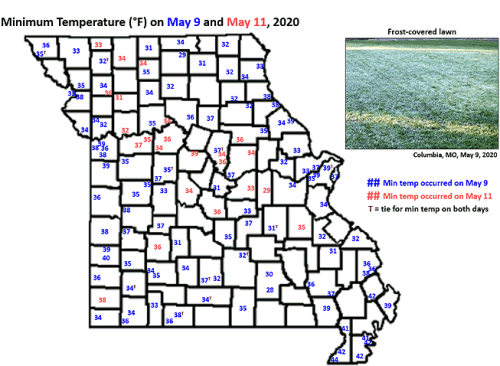 Minimum Temperature (°F) on May 9 and May 11, 2020