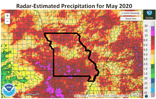 Radar-Estimated Precipitation for May 2020