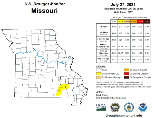 U.S. Drought Monitor - Missouri - July 2021