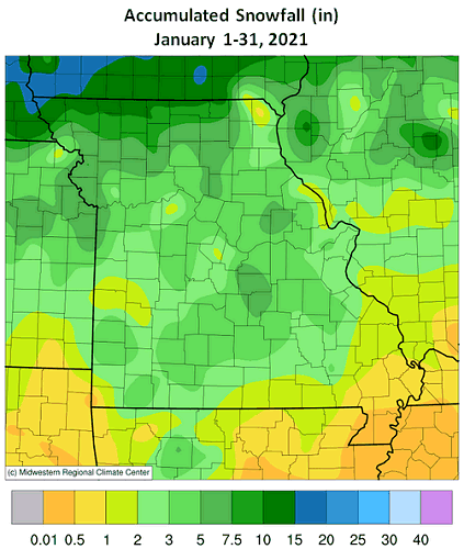 Accumulated Snowfall (in) January 1-31, 2021