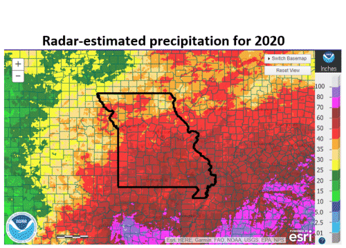 Radar-estimated Precipitation for 2020