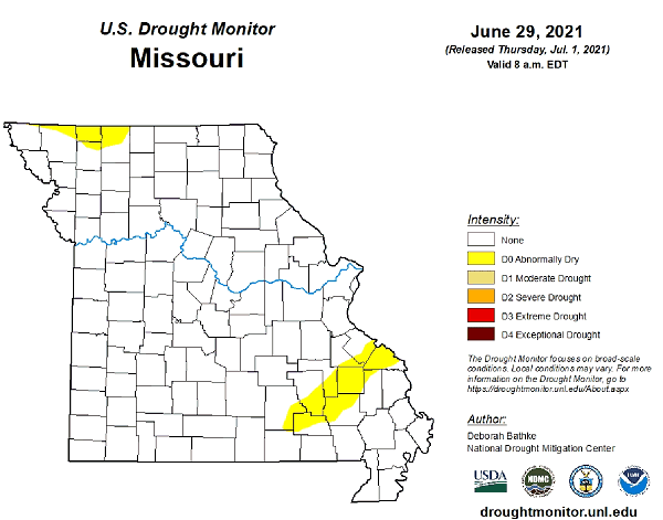 U.S. Drought Monitor - Missouri - June 2021