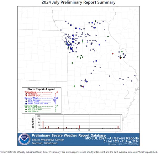 2024 July Preliminary Report Summary