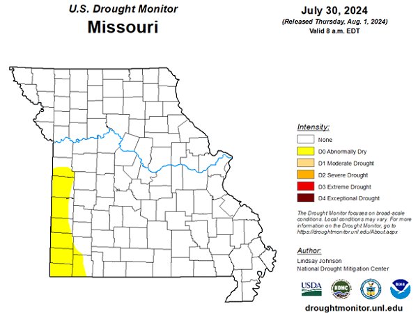 U.S. Drought Monitor - Missouri - July 2024