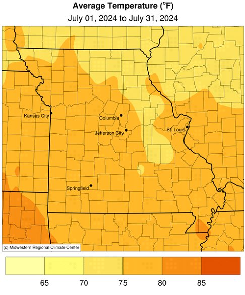 Average Temperature (°F) July 01, 2024 to July 31, 2024