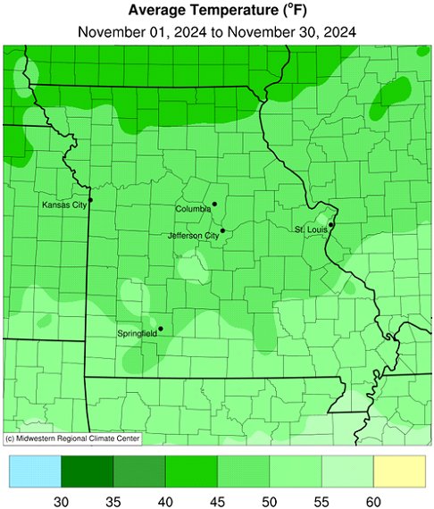 Average Temperature (°F) November 01, 2024 to November 30, 2024