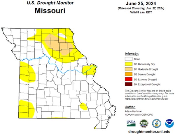 U.S. Drought Monitor - Missouri - June 2024