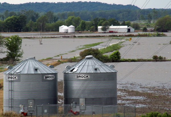 Collected data will be used as part of MU Extension's studies on drought and floods, which have a profound impact on Missouri's environment and agricultural economy. Nearly 40% of the flood-affected farmers reported financial losses of $100,000 or more following flooding in Missouri in 2019, according to a National Institutes of Health report with contributions from MU Extension economists.